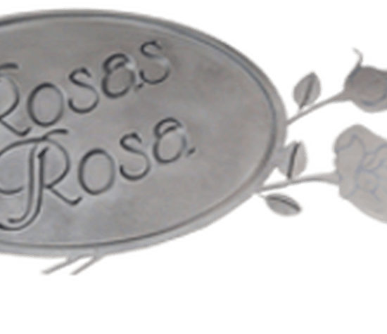 Rosas Rosa - Novias