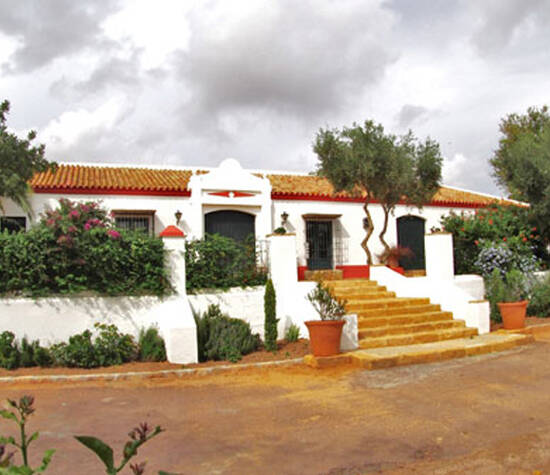 Hacienda Pino La Legua
