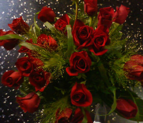 Rosas para San Valentín