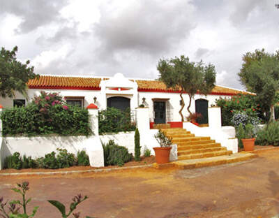 Hacienda Pino La Legua