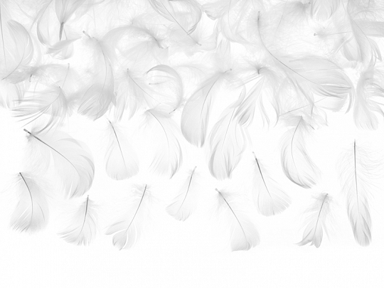 Artículos de Fiesta Plumas decorativas Color Blanco